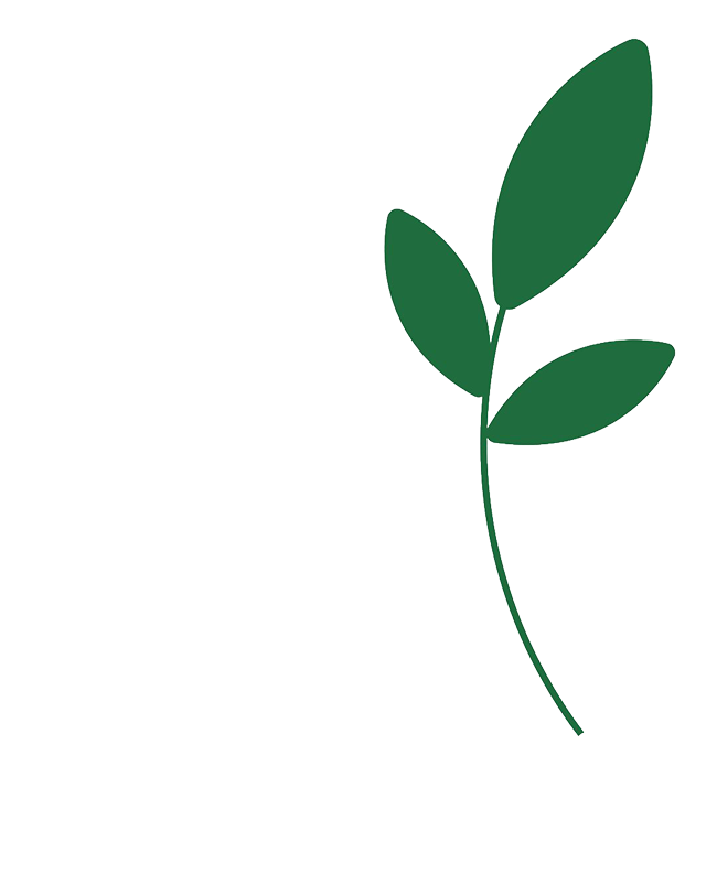 Audit-Verde_vihrea-lehti